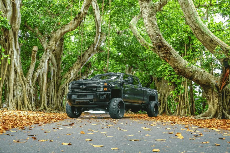 Picape preta moderna em estrada arborizada com folhas secas no chão